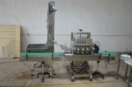 Automatic Capping Sealing Machine , Semi Automatic Bottle Filling Machinem,Anhui Zengran