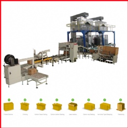 pouches into carton packing line , Automatic Carton Packing Machines,Plastic Pouch Packing Machine