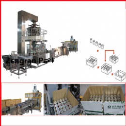 cans into carton packing line , Automatic Carton Box Packing, MachineAutomatic Filling Packing Machine,Zengran Pack